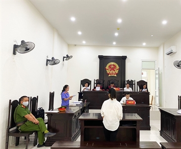 Xét xử vụ án thuê người làm giả Giấy chứng nhận quyền sử dụng đất để chiếm...